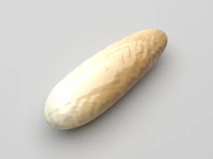 Колекція горіхів 3D Модель