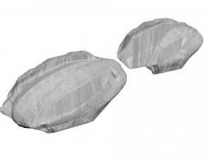 Колекція горіхів 3D Модель