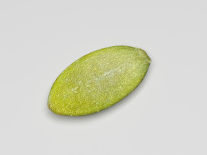 Nuts Collection 3D Model