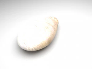 Колекція горіхів 3D Модель