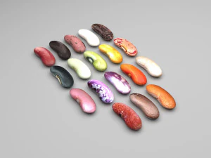 Conjunto de feij&atilde;o Modelo 3D