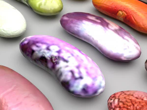 Kidney Beans Set 3D Model
