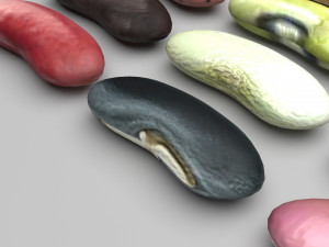 Kidney Beans Set 3D 모델
