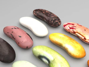Kidney Beans Set 3D Model