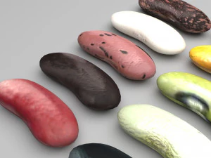 Kidney Beans Set 3D Model