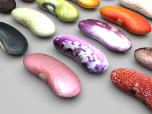 Kidney Beans Set 3D Model