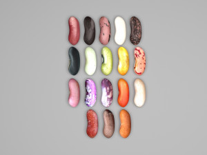 Kidney Beans Set 3D 모델