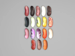 Kidney Beans Set 3D Model