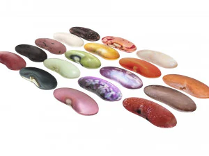 Kidney Beans Set 3D Model