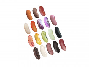 Kidney Beans Set 3D 모델
