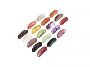 Kidney Beans Set 3D 모델