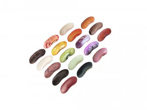Kidney Beans Set 3D Model