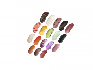 Kidney Beans Set 3D 모델