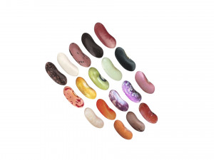 Kidney Beans Set 3D 모델