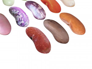 Kidney Beans Set 3D 모델