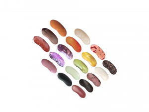 Kidney Beans Set 3D Model