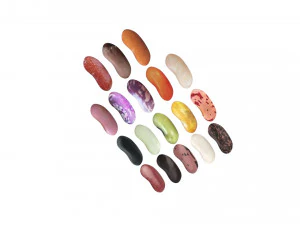 Kidney Beans Set 3D Model