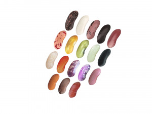 Kidney Beans Set 3D 모델