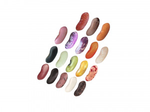 Kidney Beans Set 3D 모델