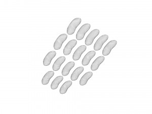 Kidney Beans Set 3D 모델