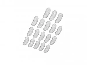 Kidney Beans Set 3D Model