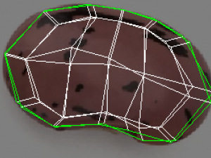 Kidney Beans Set 3D 모델