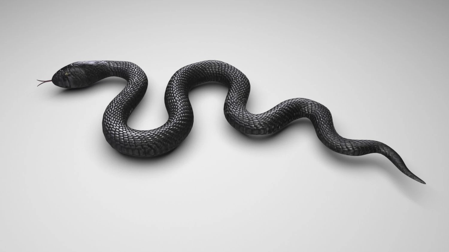 Snake 3D Model .c4d .max .obj .3ds .fbx .stl .blend 