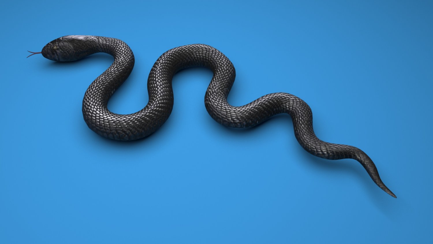 Grass Snake 3D model - Baixar Animais no