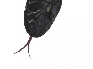 Snake 3D Model