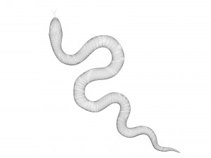 Snake 3D Model