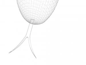 Snake 3D Model