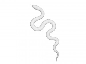 Snake 3D Model