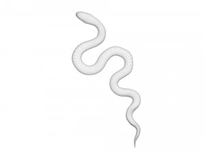 Snake 3D Model