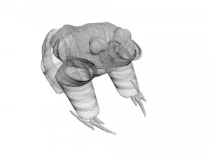 Katak Hijau Model 3D
