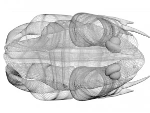 Katak Hijau Model 3D