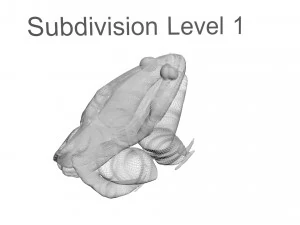 Katak Hijau Model 3D