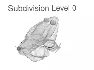 Katak Hijau Model 3D