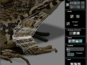 Katak Hijau Model 3D
