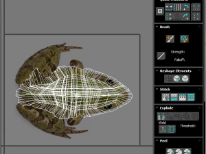 Katak Hijau Model 3D
