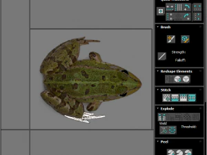 Katak Hijau Model 3D