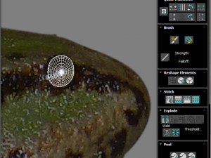 Green Frog 3D Model