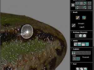 Katak Hijau Model 3D