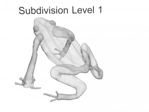 Yellow and Black Poison Dart Frog 3D Model