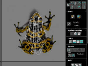 Yellow and Black Poison Dart Frog 3D Model
