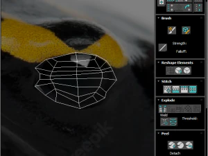 Yellow and Black Poison Dart Frog 3D Model