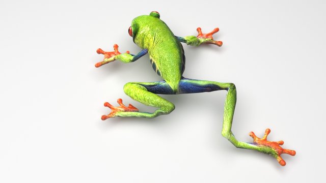 Green Tree Red Eyed Frog Modelo 3D .c4d .max .obj .3ds .fbx .stl .blend 