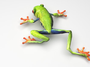 Green Tree Red Eyed Frog 3D 모델