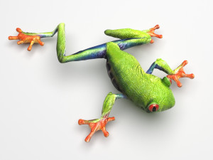 Green Tree Red Eyed Frog Modelo 3D