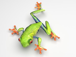 Green Tree Red Eyed Frog Modelo 3D
