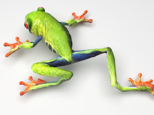 Green Tree Red Eyed Frog Modelo 3D